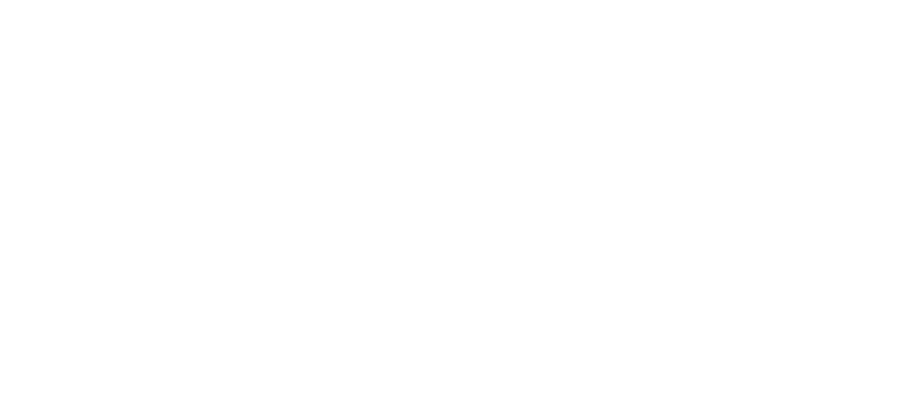 Logo Politecnico di Torino